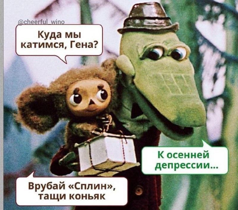 @cheerful_wino Куда мы катимся, Гена? К осенней депрессии... Врубай «Сплин», тащи коньяк