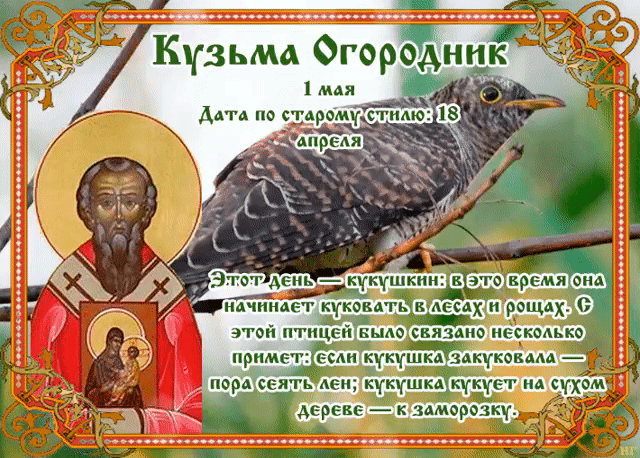 Кузьма Огородник 1 мая Дата по старому стилю: 18 апреля Этот день — кукушкин: в это время она начинает куковать в лесах и рощах. С этой птицей было связано несколько примет: если кукушка закуковала — пора сеять лен; кукушка кукует на сухом дереве — к заморозку.