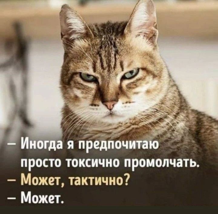 – Иногда я предпочитаю просто токсично промолчать.
– Может, тактично?
– Может.