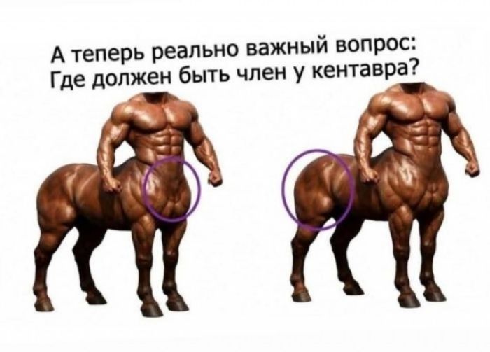 А теперь реально важный вопрос: Где должен быть член у кентавра?