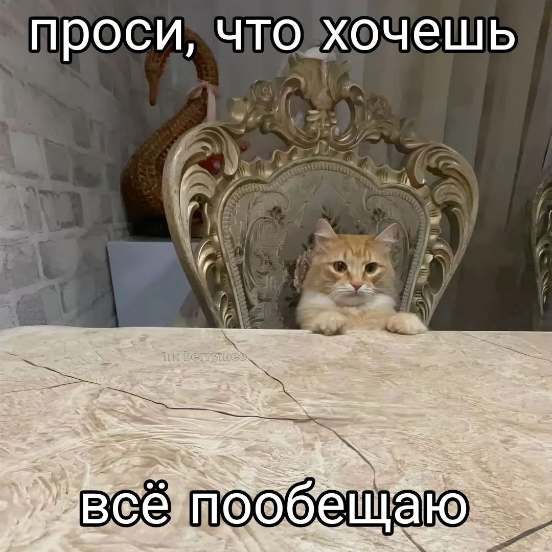 проси, что хочешь всё пообещаю