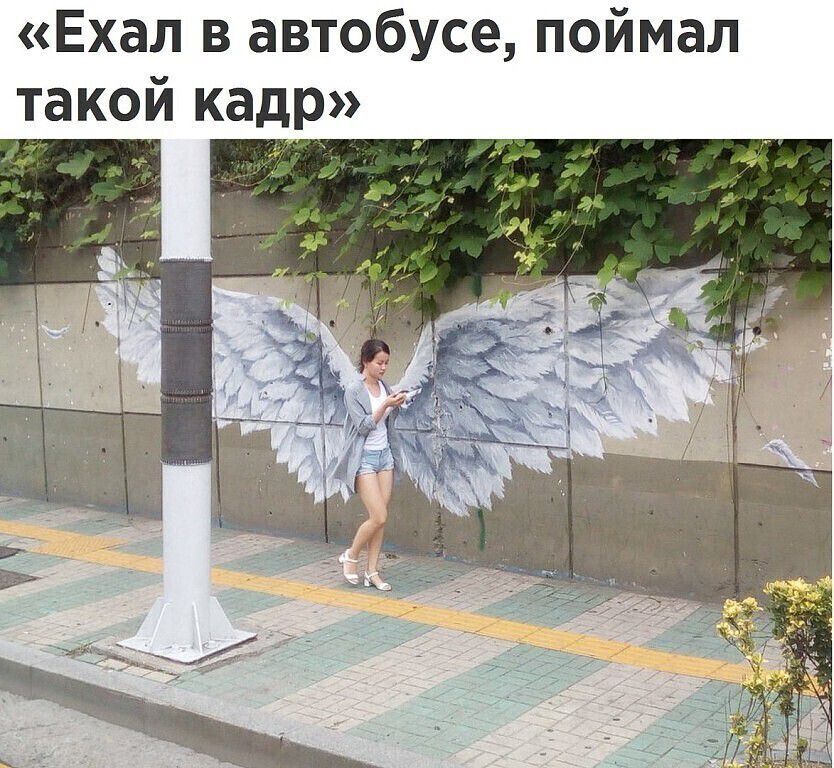 Ехал в автобусе, поймал такой кадр