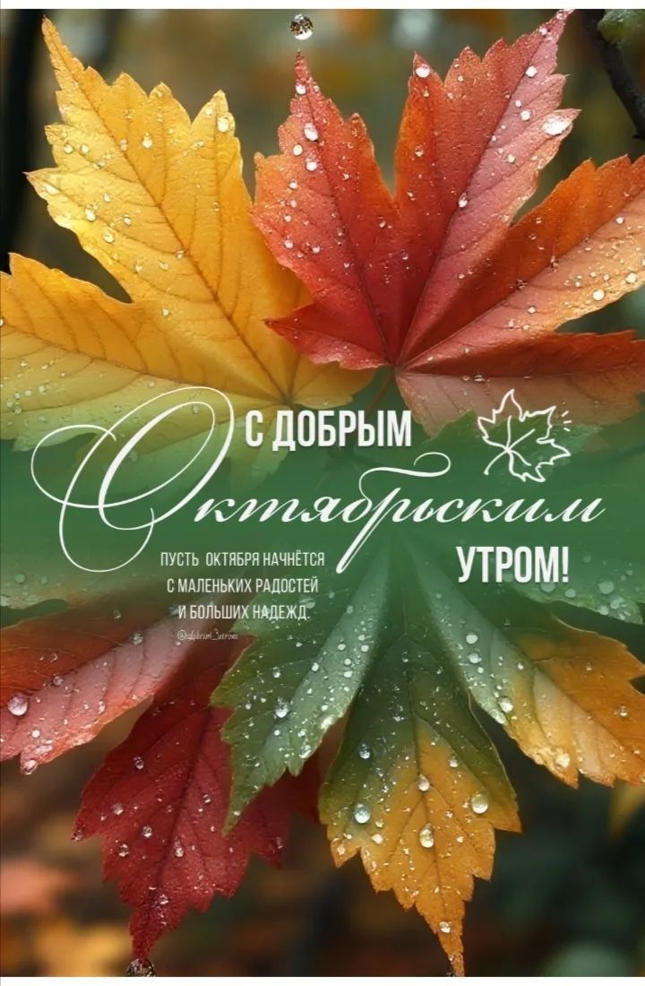 С добрым октябрьским утром! Пусть октября начнётся с маленьких радостей и больших надежд.