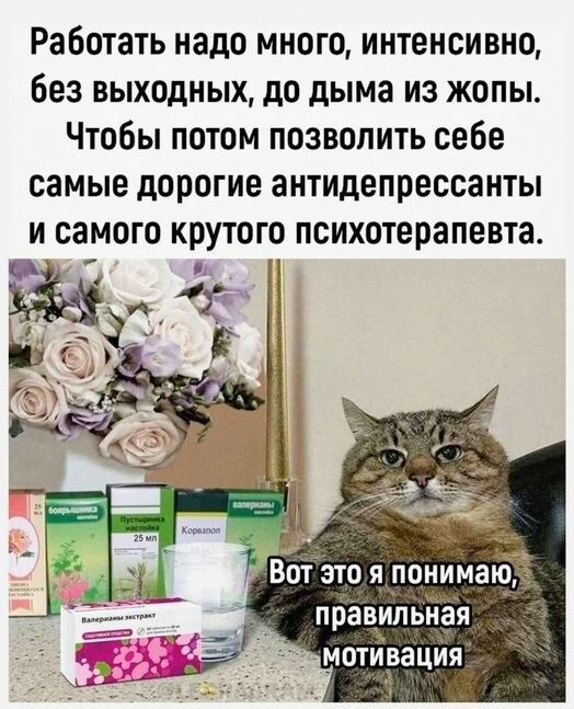 Работать надо много, интенсивно, без выходных, до дыма из жопы. Чтобы потом позволить себе самые дорогие антидепрессанты и самого крутого психотерапевта. Вот это я понимаю, правильная мотивация. Боярышника, Пустырника настойка 25 мл, Корвалол, Валерианы, Валерианы экстракт.