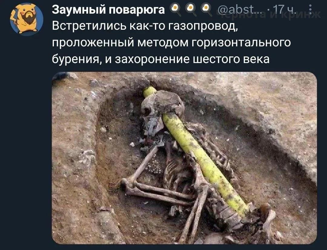 Заумный поварюга Встретились как-то газопровод, проложенный методом горизонтального бурения, и захоронение шестого века