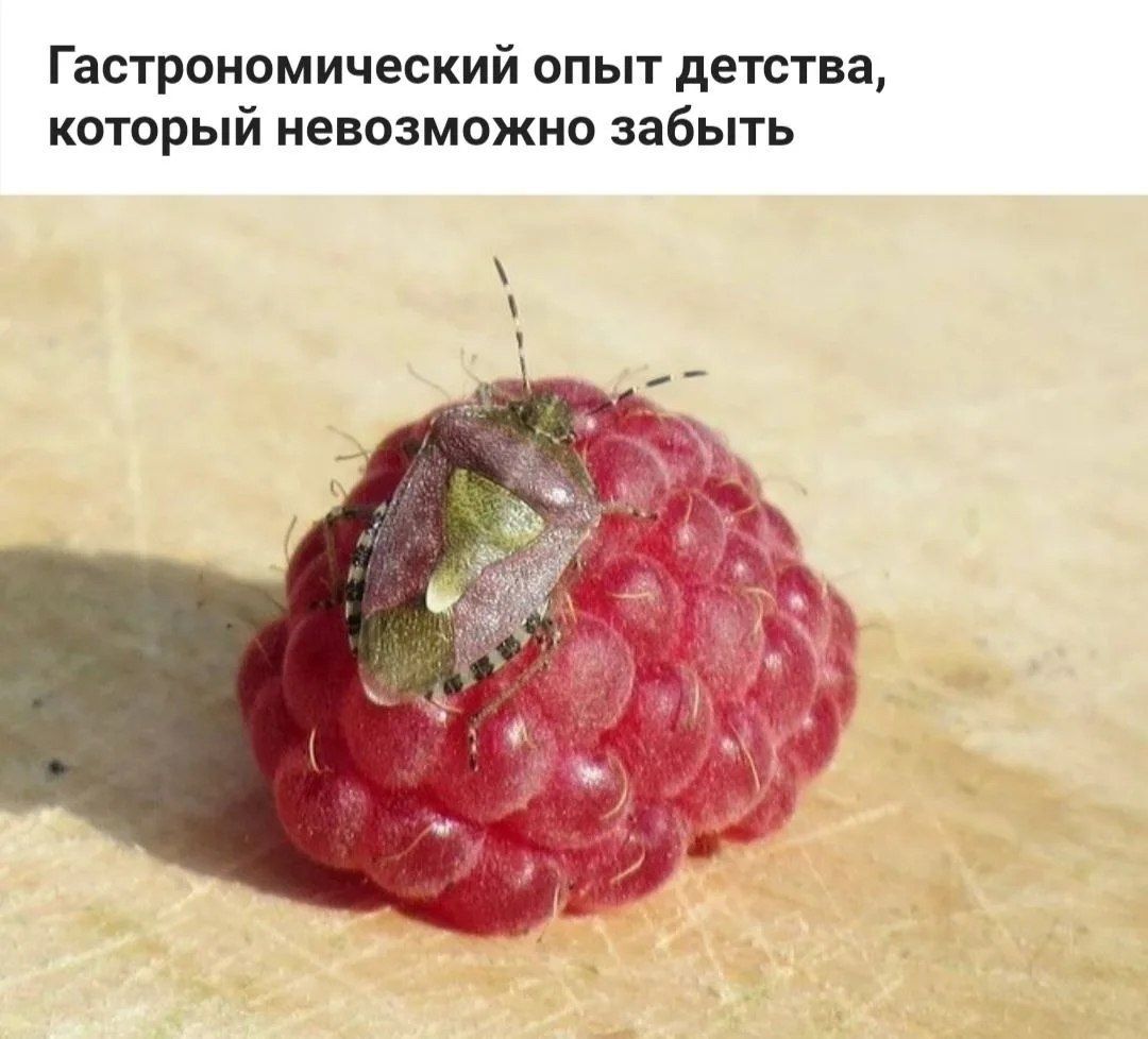 Гастрономический опыт детства, который невозможно забыть
