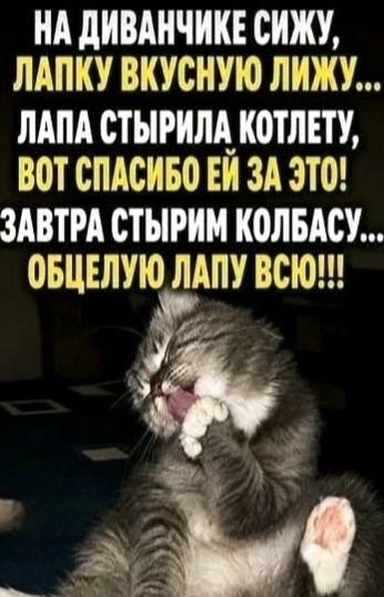НА ДИВАНЧИКЕ СИЖУ, ЛАПКУ ВКУСНУЮ ЛИЖУ... ЛАПА СТЫРИЛА КОТЛЕТУ, ВОТ СПАСИБО ЕЙ ЗА ЭТО! ЗАВТРА СТЫРИМ КОЛБАСУ... ОБЦЕЛУЮ ЛАПУ ВСЮ!!!