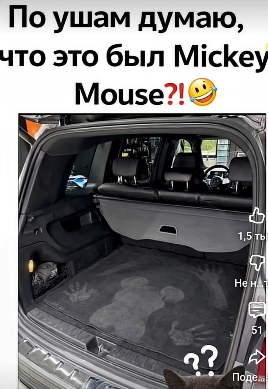 По ушам думаю, что это был Mickey Mouse?!
