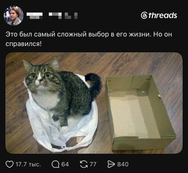 Это был самый сложный выбор в его жизни. Но он справился!