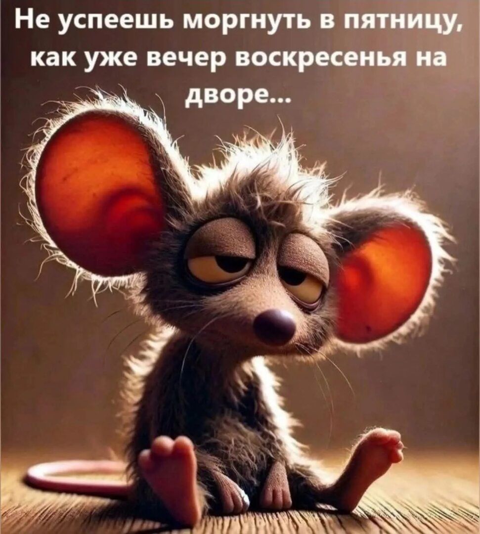 Не успеешь моргнуть в пятницу, как уже вечер воскресенья на дворе...