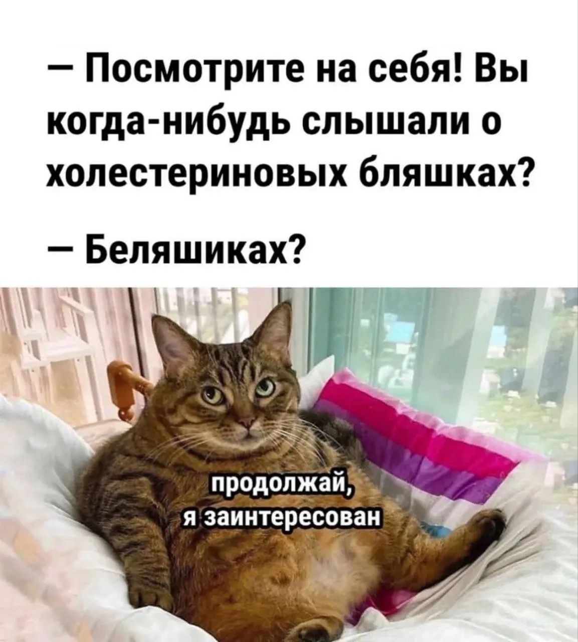 Посмотрите на себя! Вы когда-нибудь слышали о холестериновых бляшках? — Беляшиках? продолжай, я заинтересован