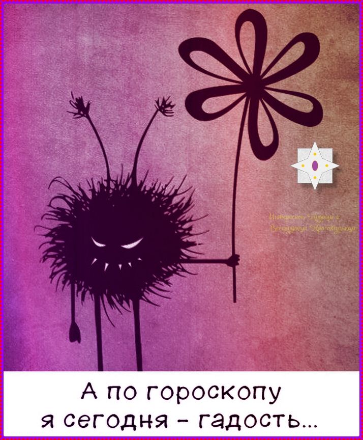 А по гороскопу я сегодня - гадость... Интересное, Лучшее и Вдохновляющее! Красотулька