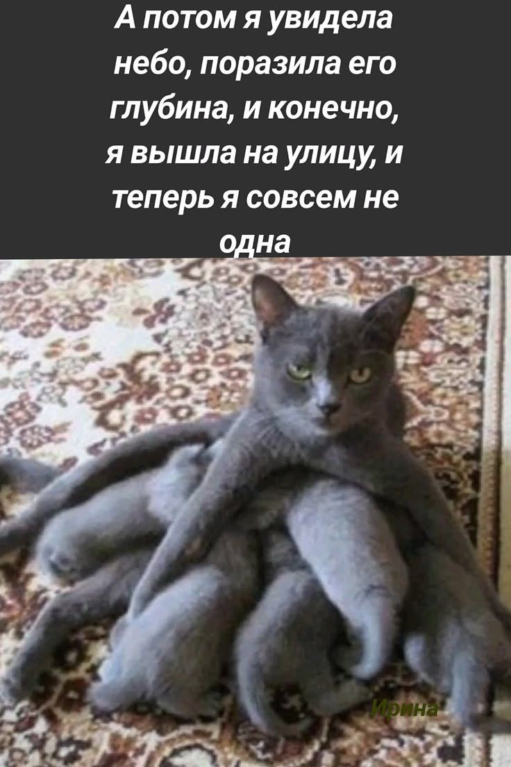 А потом я увидела небо, поразила его глубина, и конечно, я вышла на улицу, и теперь я совсем не одна