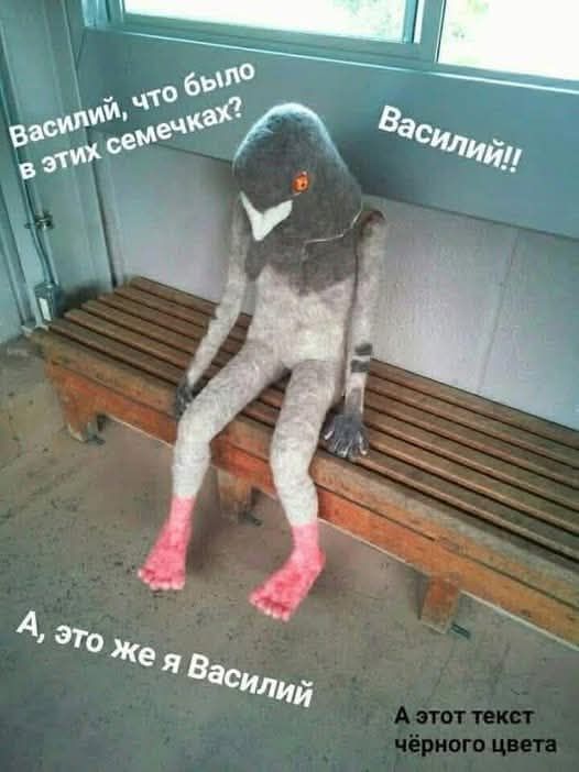 Василий, что было в этих семечках? Василий!! А, это же я Василий А этот текст чёрного цвета