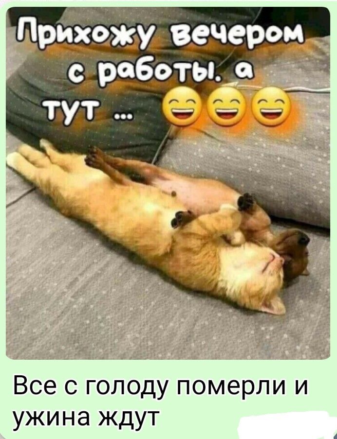 Прихожу вечером с работы. а тут ... Все с голоду померли и ужина ждут