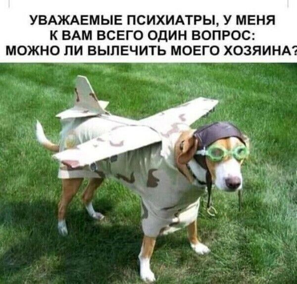 УВАЖАЕМЫЕ ПСИХИАТРЫ, У МЕНЯ К ВАМ ВСЕГО ОДИН ВОПРОС: МОЖНО ЛИ ВЫЛЕЧИТЬ МОЕГО ХОЗЯИНА?