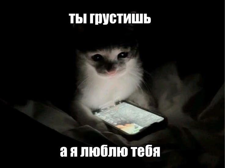 ТЫ ГРУСТИШЬ А Я ЛЮБЛЮ ТЕБЯ