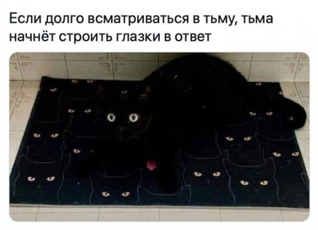 Если долго всматриваться в тьму, тьма начнёт строить глазки в ответ