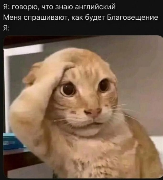 Я: говорю, что знаю английский. Меня спрашивают, как будет Благовещение. Я: