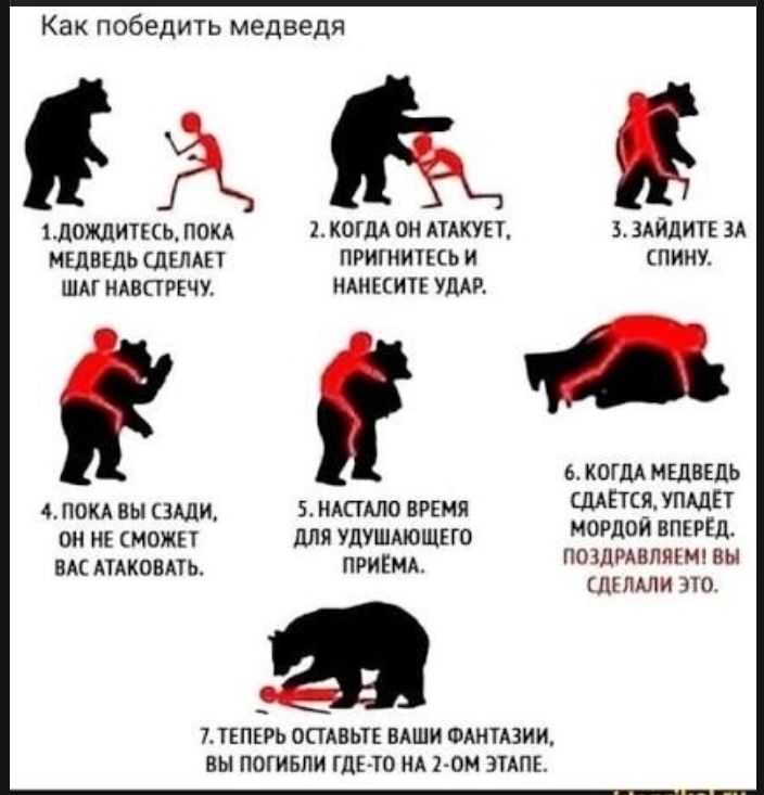 Как победить медведя. 1. Дождитесь, пока медведь сделает шаг навстречу. 2. Когда он атакует, пригнитесь и нанесите удар. 3. Зайдите за спину. 4. Пока вы сзади, он не сможет вас атаковать. 5. Настало время для удушающего приема. 6. Когда медведь сдается, упадет мордой вперед. Поздравляем! Вы сделали это. 7. Теперь оставьте ваши фантазии, вы погибли