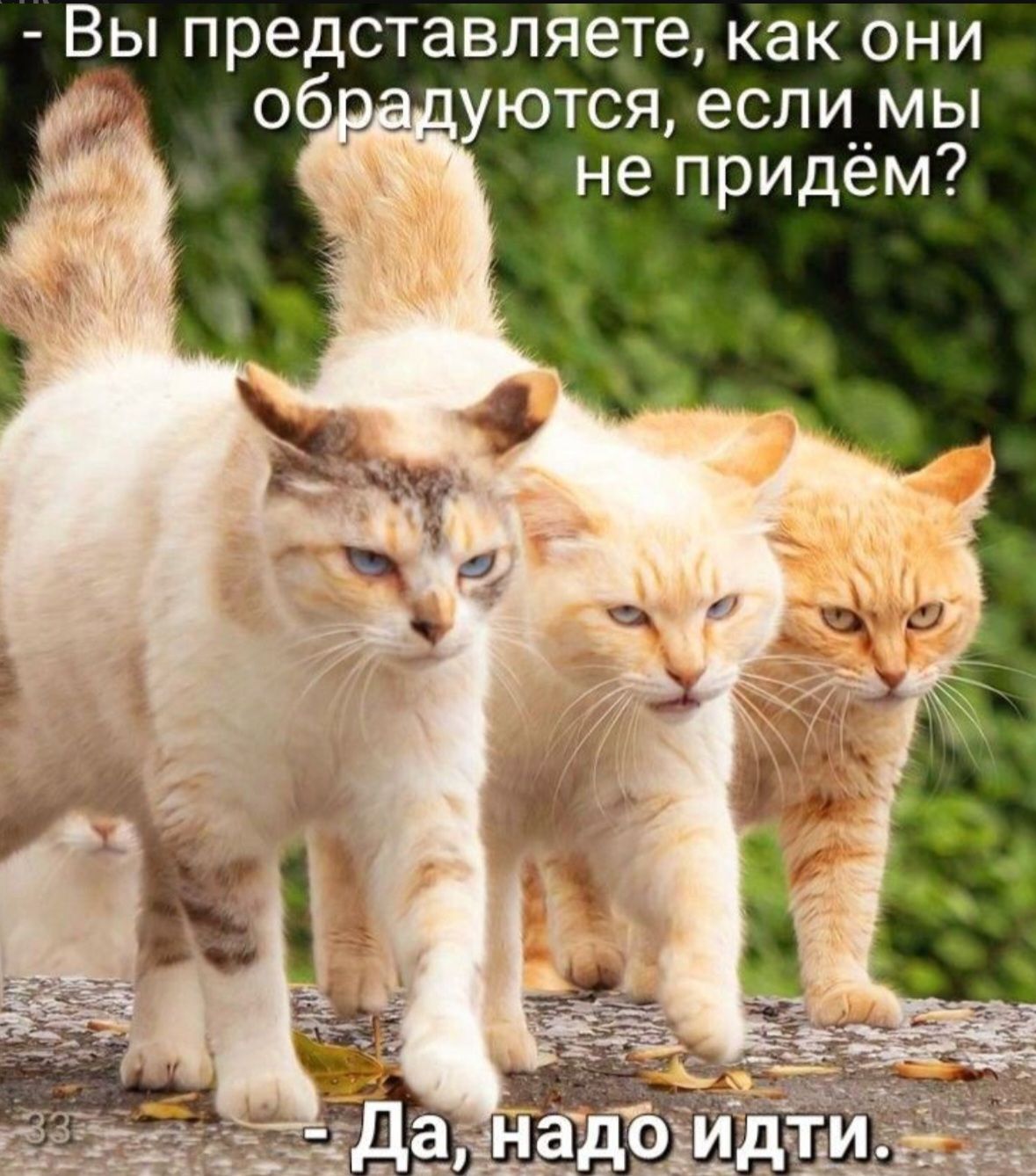 Вы представляете, как они обрадуются, если мы не придём? Да, надо идти.