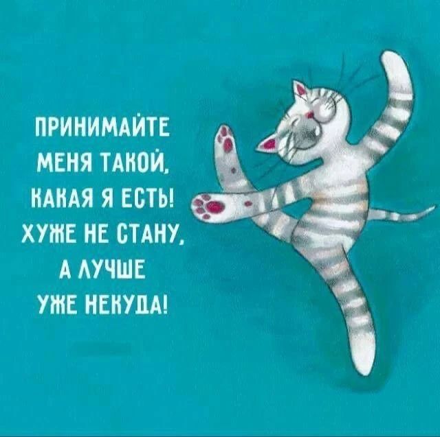 ПРИНИМАЙТЕ МЕНЯ ТАКОЙ, КАКАЯ Я ЕСТЬ! ХУЖЕ НЕ СТАНУ, А ЛУЧШЕ УЖЕ НЕКУДА!