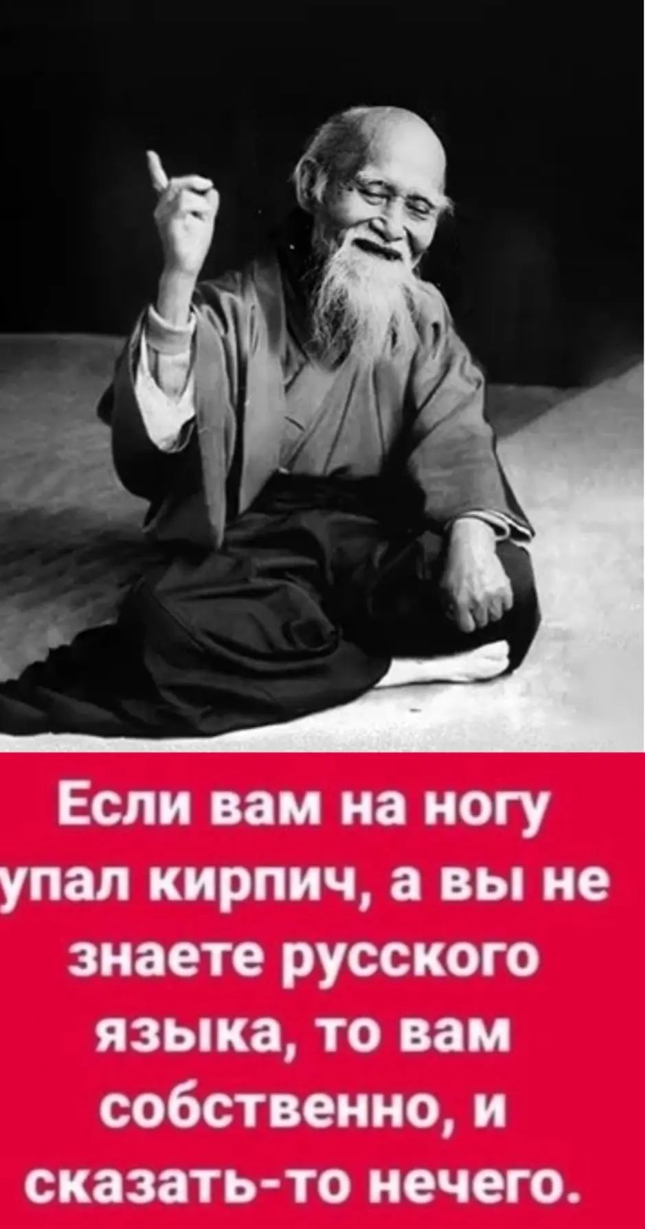 Если вам на ногу упал кирпич, а вы не знаете русского языка, то вам собственно, и сказать-то нечего.