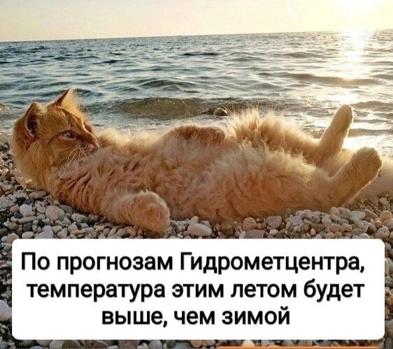 По прогнозам Гидрометцентра, температура этим летом будет выше, чем зимой