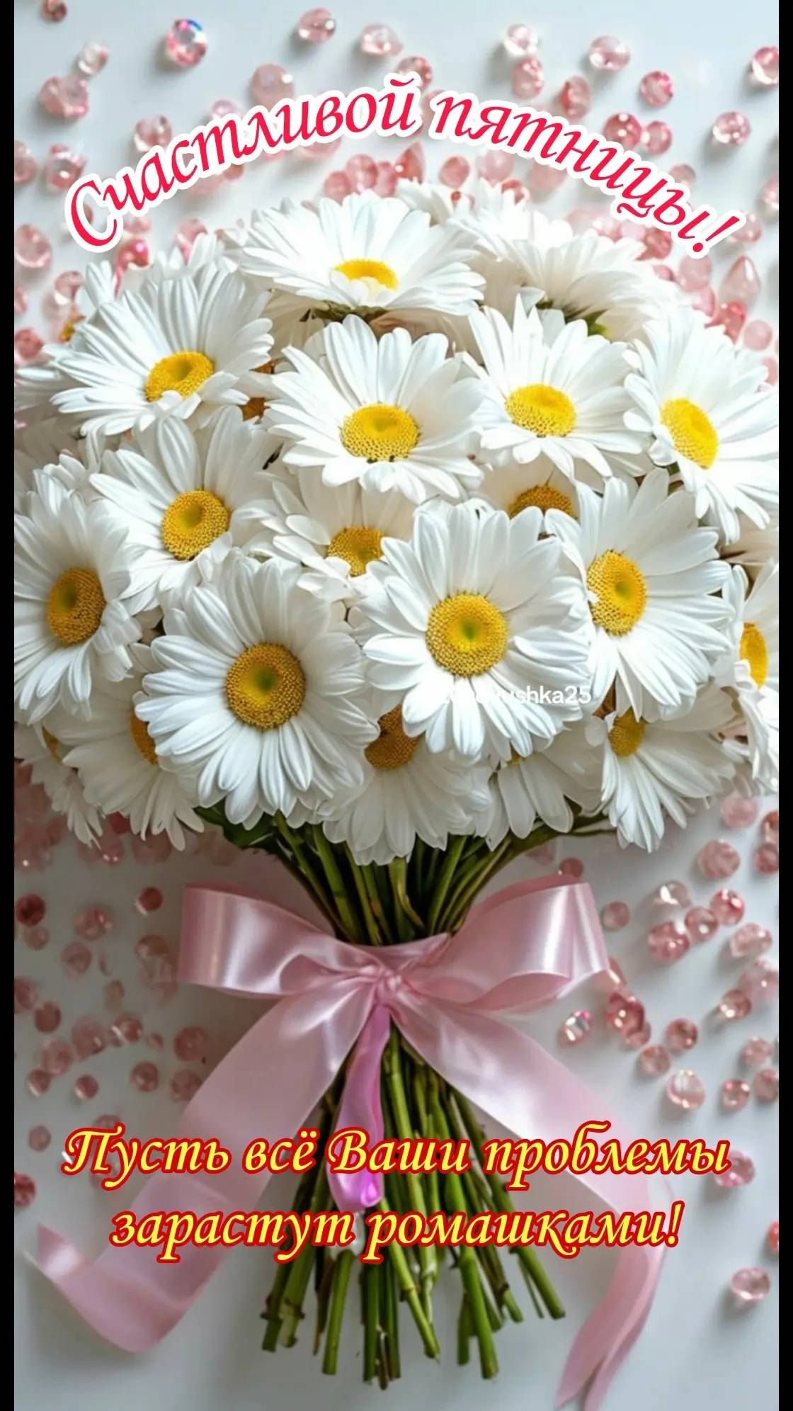 Счастливой пятницы! Пусть всё Ваши проблемы зарастут ромашками!