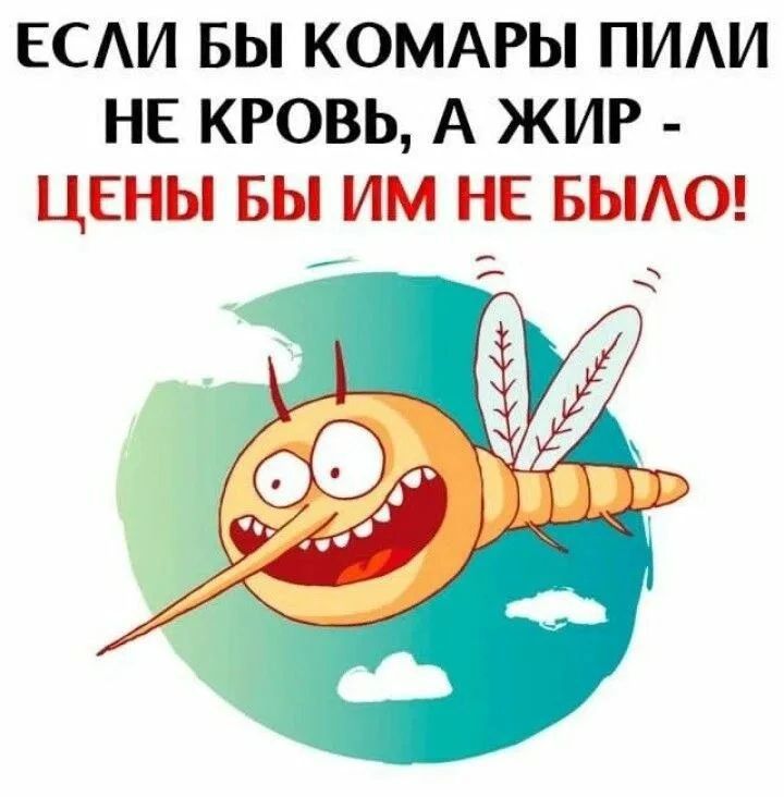 ЕСЛИ БЫ КОМАРЫ ПИЛИ НЕ КРОВЬ, А ЖИР - ЦЕНЫ БЫ ИМ НЕ БЫЛО!