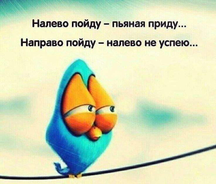 Налево пойду – пьяная приду... Направо пойду – налево не успею...