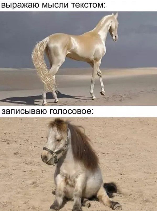 выражаю мысли текстом: записываю голосовое:
