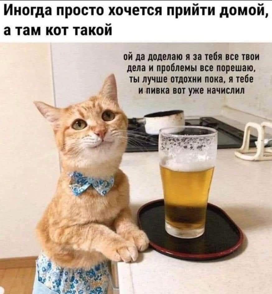 Иногда просто хочется прийти домой, а там кот такой ой да доделаю я за тебя все твои дела и проблемы мы все порешаю, ты лучше отдохни пока, я тебе и пивка вот уже начислил