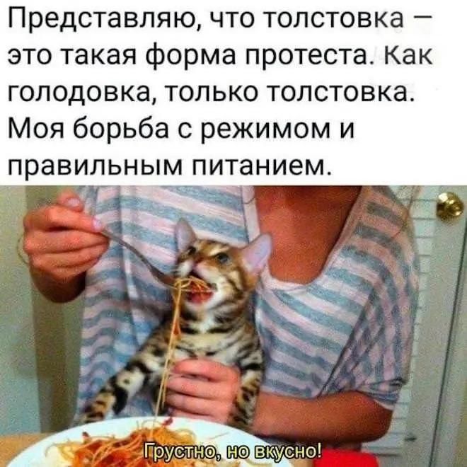 Представляю, что толстовка – это такая форма протеста. Как голодовка, только толстовка. Моя борьба с режимом и правильным питанием. Грустно, но вкусно!