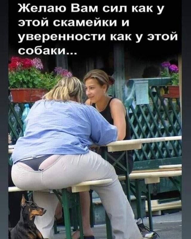 Желаю Вам сил как у этой скамейки и уверенности как у этой собаки...
