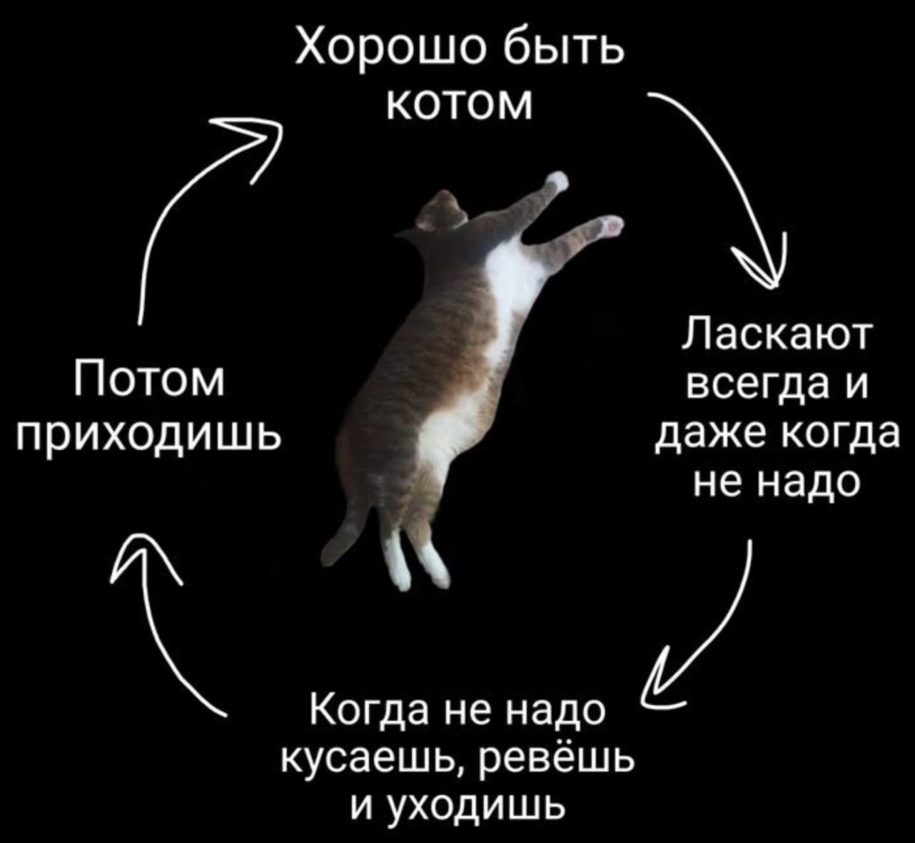 Хорошо быть котом Ласкают всегда и даже когда не надо Когда не надо кусаешь, ревёшь и уходишь Потом приходишь