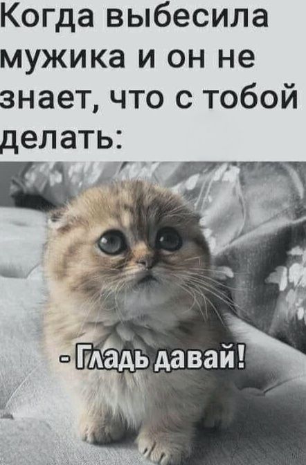 Когда выбесила мужика и он не знает, что с тобой делать: - Гладь давай!