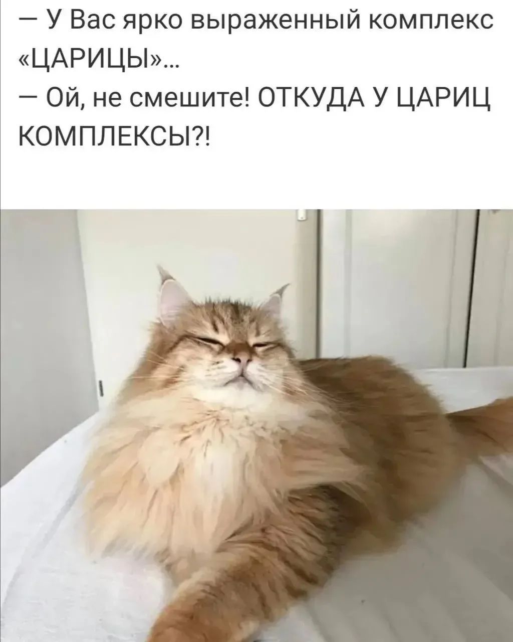 — У Вас ярко выраженный комплекс «ЦАРИЦЫ»… — Ой, не смешите! ОТКУДА У ЦАРИЦ КОМПЛЕКСЫ?!