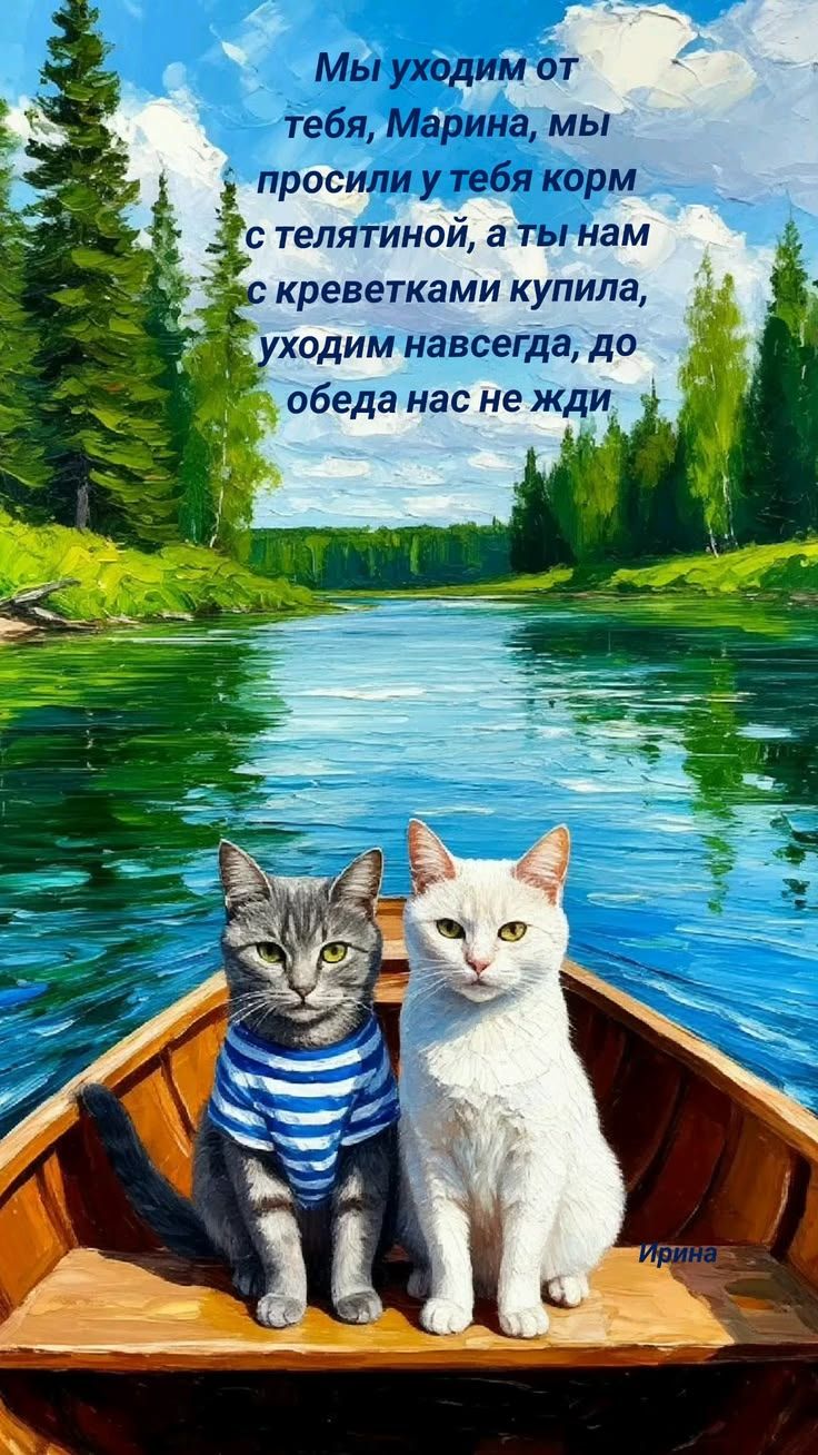 Мы уходим от тебя, Марина, мы просили у тебя корм с телятиной, а ты нам с креветками купила, уходим навсегда, до обеда нас не жди