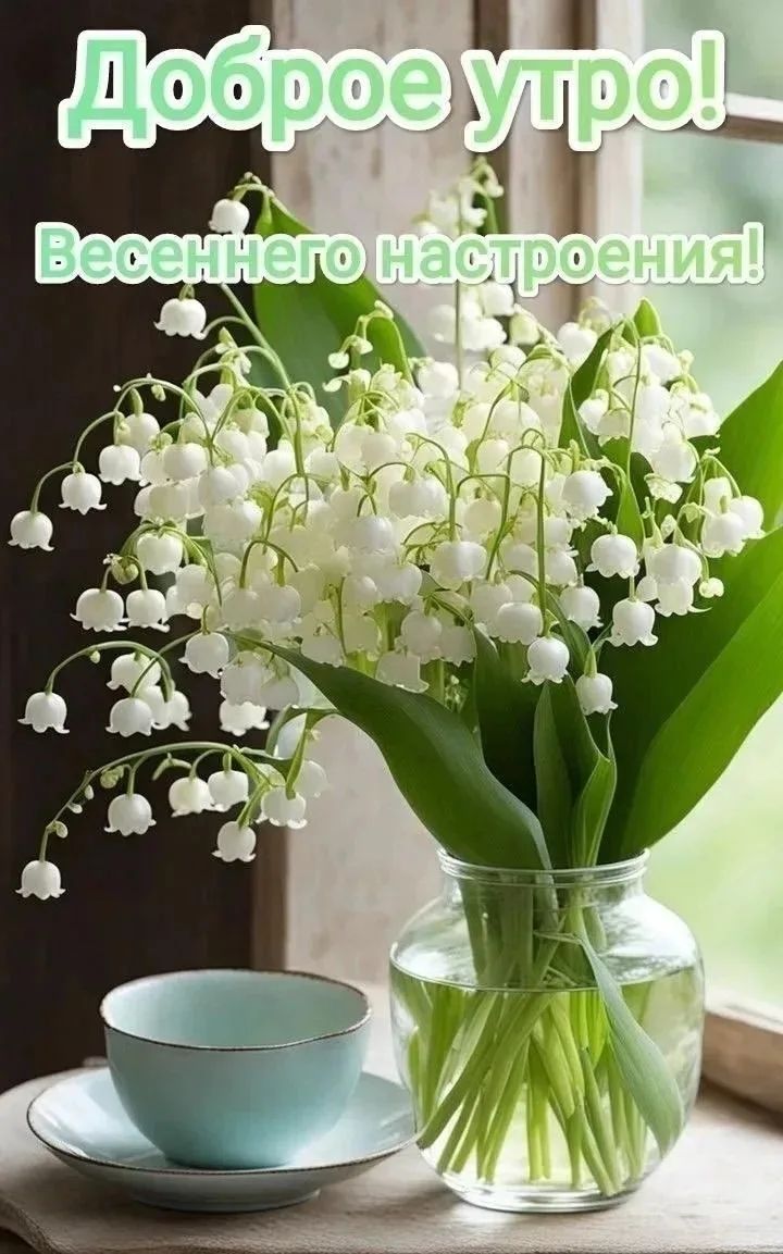 Доброе утро! Весеннего настроения!