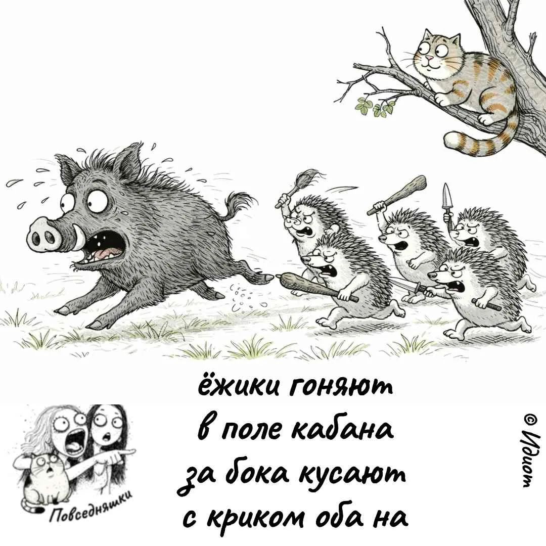 ёжики гоняют в поле кабана за бока кусают с криком оба на Повседневняшки © Илюом