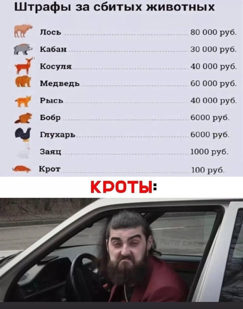 Штрафы за сбитых животных Лось 80 000 руб. Кабан 30 000 руб. Косуля 40 000 руб. Медведь 60 000 руб. Рысь 40 000 руб. Бобр 6000 руб. Глухарь 6000 руб. Заяц 1000 руб. Крот 100 руб. КРОТЫ: