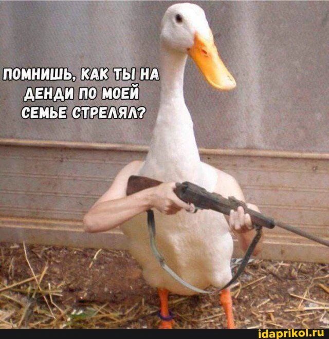 ПОМНИШЬ, КАК ТЫ НА ДЕНДИ ПО МОЕЙ СЕМЬЕ СТРЕЛЯЛ?