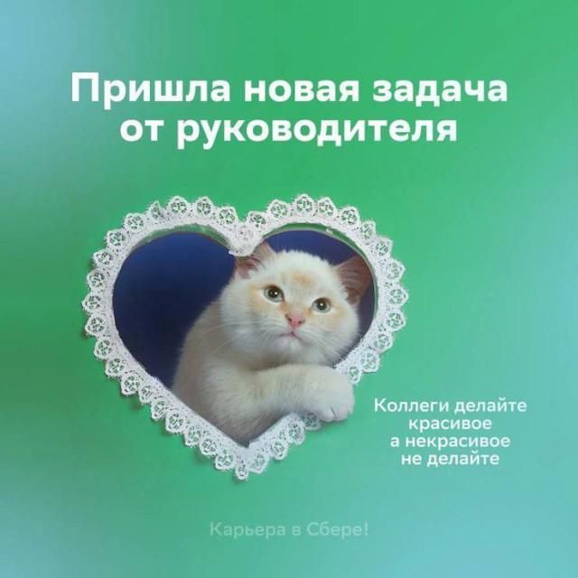 Пришла новая задача от руководителя Коллеги делайте красивое а некрасивое не делайте Карьера в Сбере!
