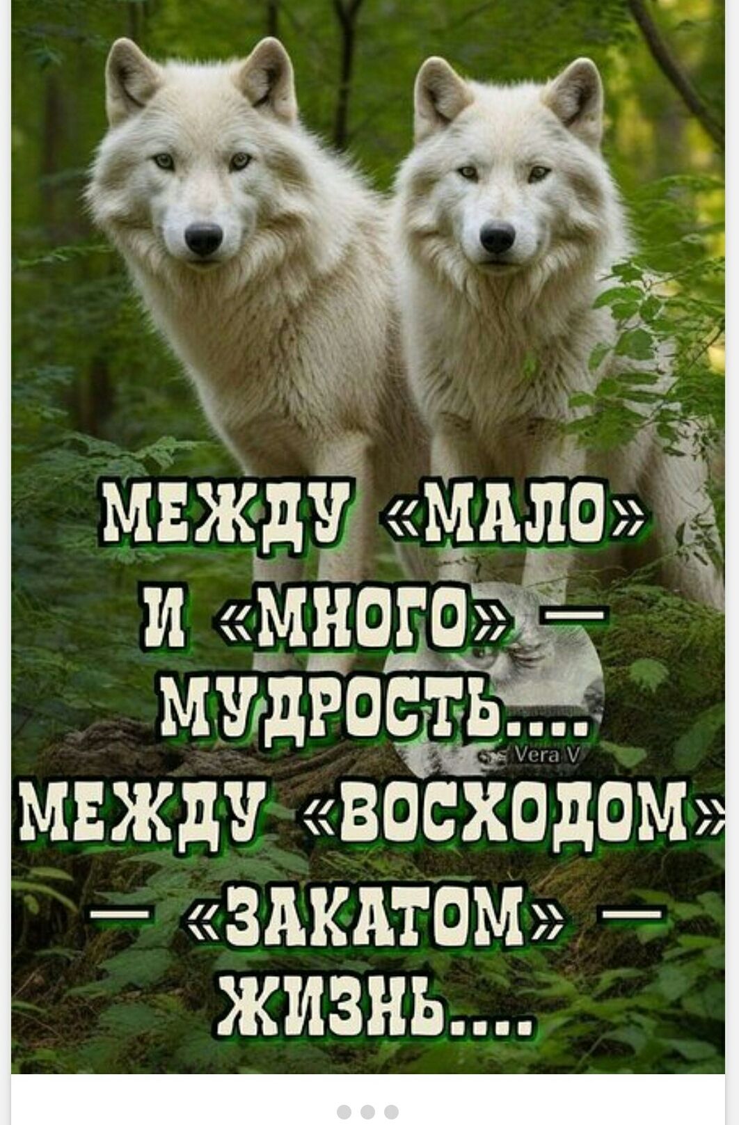 МЕЖДУ «МАЛО» И «МНОГО» — МУДРОСТЬ.... МЕЖДУ «ВОСХОДОМ» — «ЗАКАТОМ» — ЖИЗНЬ....