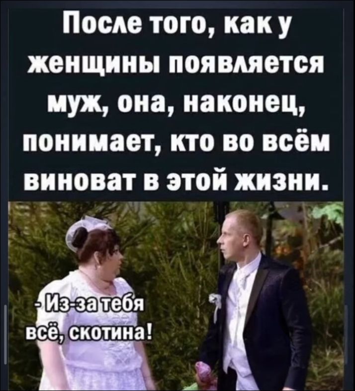После того, как у женщины появляется муж, она, наконец, понимает, кто во всём виноват в этой жизни. Из-за тебя всё, скотина!