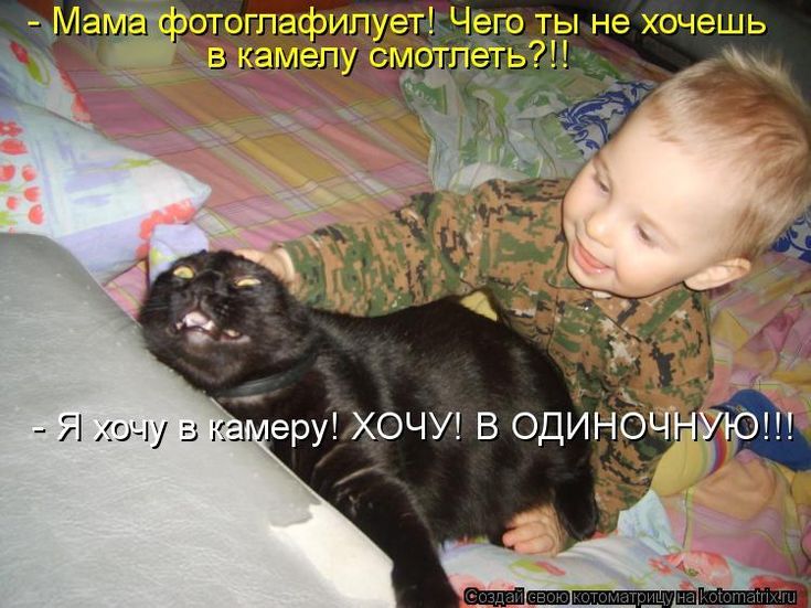 Мама фотоглафилует! Чего ты не хочешь в камелу смотлеть?!! - Я хочу в камеру! ХОЧУ! В ОДИНОЧНУЮ!!!