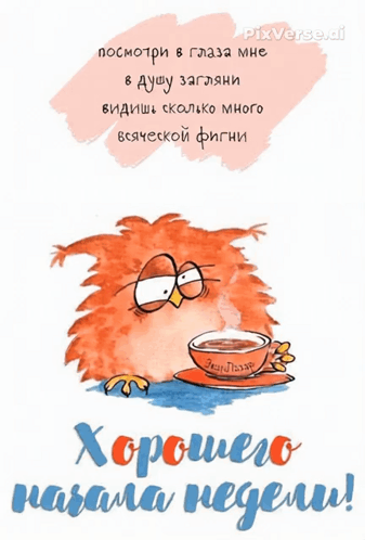посмотри в глаза мне в душу загляни видишь сколько много всяческой фигни Хорошего начала недели!