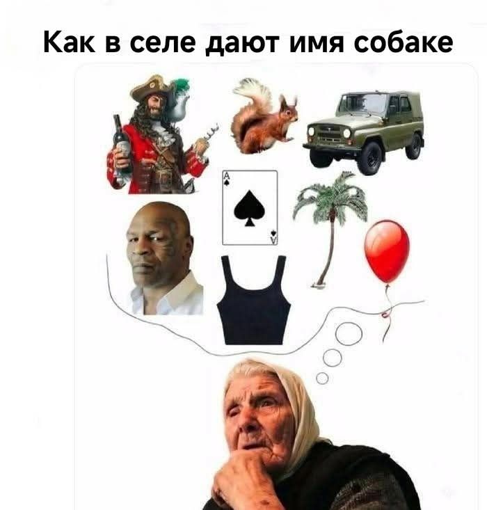 Как в селе дают имя собаке. Пират, белка, УАЗик, Майк Тайсон, туз пик, пальма, майка, шарик. Старушка думает.