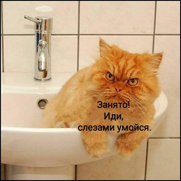 Занято! Иди, слезами умойся.